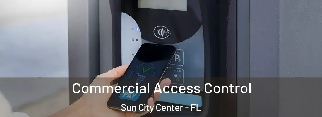 Commercial Access Control Sun City Center - FL
