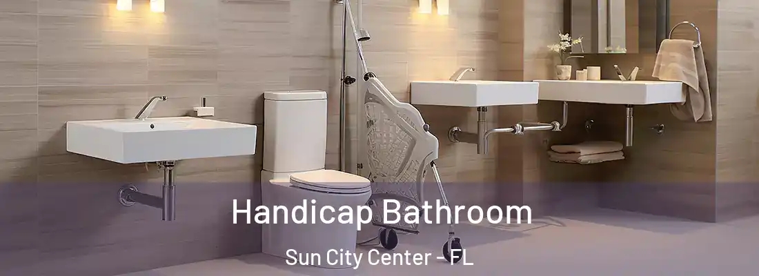 Handicap Bathroom Sun City Center - FL