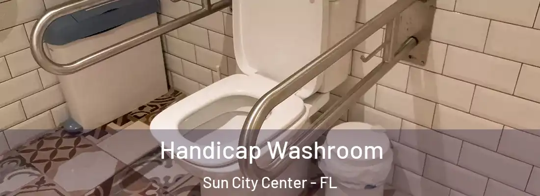 Handicap Washroom Sun City Center - FL